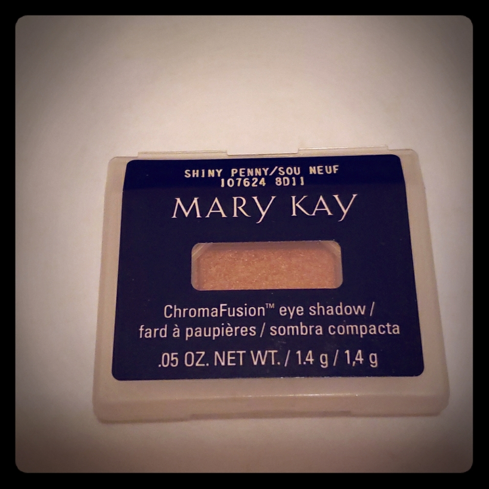 Shiny penny eye shadow